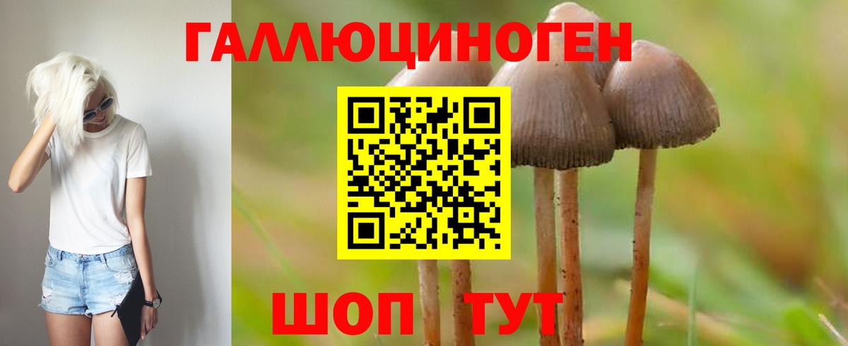 Галлюциногенные грибы GOLDEN TEACHER Ейск